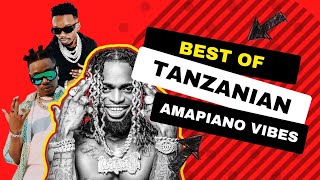 BEST OF TANZANIAN AMAPIANO MIX 2023  DJ VORTEX 254 [upl. by Nyloj]