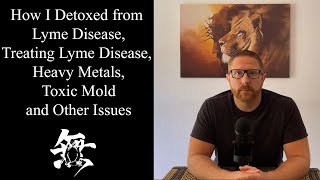 How I Detoxed from Lyme Treating Lyme Heavy Metals Toxic Mold and Other Issues [upl. by Grimaldi702]