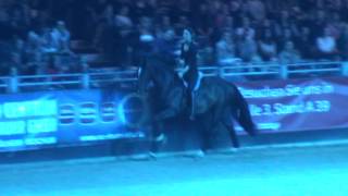 Equitana 2015  Promotion for the HOP TOP SHOW  Mistral amp Alizée [upl. by Ailelc779]