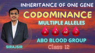 Codominance Class 12ABO Blood groupMultiple allelesInheritance of one geneSciFlix345 [upl. by Normand14]