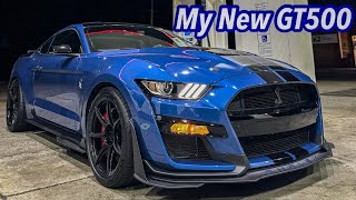 I Finally Bought A Shelby GT500 [upl. by Anotyal]