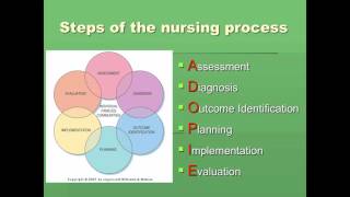 Nursing Process 1 [upl. by Ridgley122]