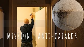 Comment se débarrasser des cafards de façon efficace ⁉️🛑✋ MISSION ANTI CAFARD [upl. by Ajnat249]