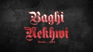 Baandiy X H M Z  Baghi Nekhwi Clip Officiel [upl. by Aropizt934]