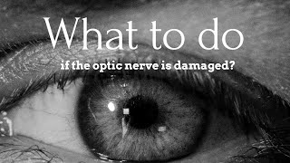 What to do if the optic nerve is damaged [upl. by Dlawso]