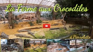 La Ferme aux crocodiles est un parc zoologique impressionnant situé à Pierrelatte dans la Drôme [upl. by Sonya]