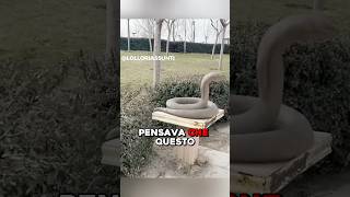 SEMBRA UNA STATUA DI UN SERPENTE MA…😱 virale [upl. by Rubel]