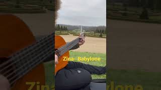 Zina Babylone guitare cover shorts [upl. by Anrim]