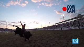 SNJToday quotCow Camquot at Cowtown Rodeo [upl. by Harrus]