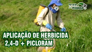 Aplicação de herbicida 24D  Picloram [upl. by Aletse308]