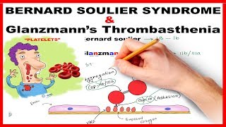 Bernard Soulier Syndrome amp Glanzmanns Thrombasthenia  Mnemonic Series  21 [upl. by Wolfort206]