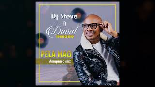 Pela Hao Amapiano mix  Dj Steve ft David Theking [upl. by Yesdnyl311]