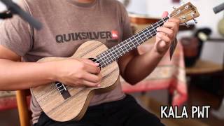 Top 9 Tenor Ukuleles Under 200 [upl. by Nylessej]