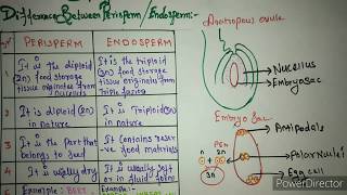 Embryology of flowering plants  difference between perisperm and endosperm [upl. by Teece]