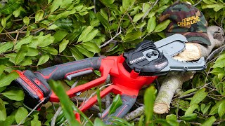 Craftsman Cordless Chainsaw Lopper Reviewed [upl. by Nerland]