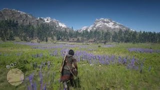 Red Dead Redemption 2  Vitalism Playing as a Buck [upl. by Edaj319]