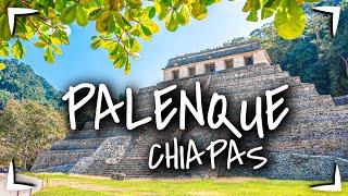 PALENQUE Chiapas amp Cascadas de ROBERTO BARRIOS 🔴¿cuánto cuesta ¿que hay ► ZONA ARQUEOLÓGICA MAYA [upl. by Arorua467]