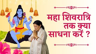 महा शिवरात्रि तक क्या साधना करें  What sadhana to do till Mahashivratri Dada Laxmi Bhagwan Satsang [upl. by Erund]