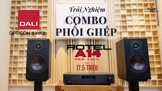 Bản Phối Mê Đắm Từ ROTEL A14 vs DALI OPTICON 2 MKII 🤩 [upl. by Edmee]