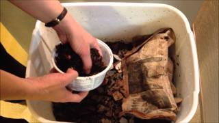 How to Feed Your Composting Red Wiggler Worms in a Flow Through Worm Bin [upl. by Rekab]