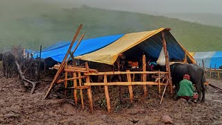 This is shepherd Life Rainy Day Organic shepherd Food  Real LifeVillage Life [upl. by Roshan]