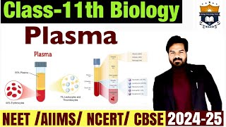 Plasma  Components of Blood  what is plasma  Body Fluids And Circulatuon class 11  Biology NEET [upl. by Ynatterb]