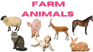 Farm Animals name for kids  Farm animals toddlers Farm animals farm animals [upl. by Brant60]