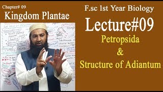 Biology Ch09Lecture09 PetropsidaampStructure of Adiantum FSc 1st Year [upl. by Hatty]