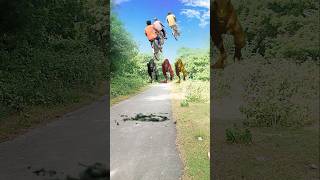 Big dinosour chase TRex chasing part 895 shorts dinosaur youtube dinosaurs youtubeshorts [upl. by Turmel]