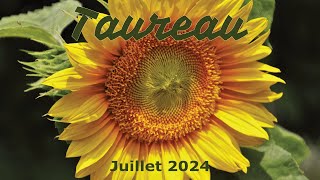 TAUREAU  juillet 2024  Lespoir vous guide [upl. by Oeht]