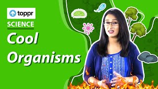 Identify living and nonliving things  Cool Organisms  Class 6 Science CBSE NCERT [upl. by Neelak]