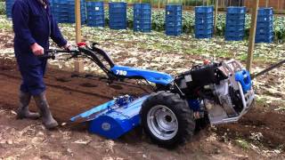 BCS 750  Pasquali XB50 tuinfrees  motoculteur bij wwwtuinmachinescom [upl. by Tager]