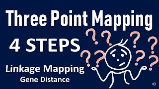 Three point mapping II Gene Order II Gene Distance II Genetics Problem Linkage [upl. by Olimac]