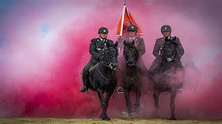 Paarden expres laten schrikken trainingsdag voor Prinsjesdag  RTL NIEUWS [upl. by Joletta844]