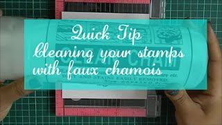 Best way to clean your clear stamps  Clean Cham [upl. by Emmey773]