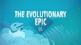 The Evolutionary Epic Crash Course Big History 5 [upl. by Annawal]