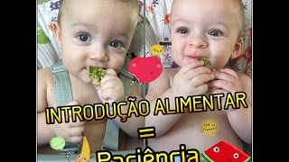 Introdução Alimentar dos gêmeos tem que ter PACIÊNCIA😥😅 e levando os bbs para creche sozinha 🙈 [upl. by Koren772]