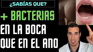 La 👄BOCA tiene más BACTERIAS 🦠 que el 💩ANO y GENITALES Estos datos te sorprenderán [upl. by Kassey]