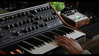 Making ambient music with Hologram Microcosm loops and Moog Subsequent37  Experimental [upl. by Oringas]