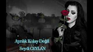 Ayrılık Kolay Değil  Seydi Ceylan Elektro Bağlama [upl. by Oirram513]