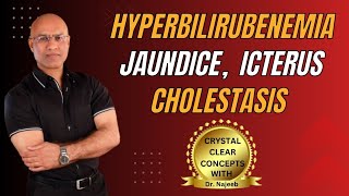 Jaundice vs Hyperbilirubinemia vs Icterus vs Cholestasis 🩺 [upl. by Evangelina298]