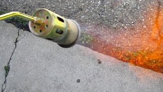 Quick amp Easy Way To Eliminate Unwanted Weeds Using A Propane Torch [upl. by Tull476]