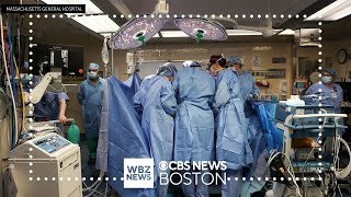 Mass General surgeons transplant pig kidney into patient in groundbreaking procedure [upl. by Oilut]