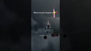 What was supposed to happen vs What actually happened😔💔  AirAsia Indonesia 8501 [upl. by Vallie]