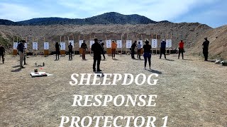 Sheepdog response protector 1 raw review [upl. by Arayt]