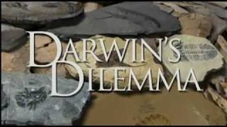 Darwins Dilemma The Mystery of the Cambrian Fossil Record Trailer [upl. by Aliel]