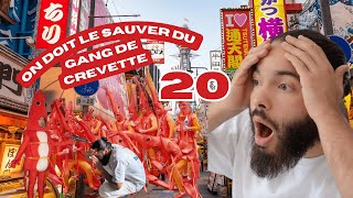 ON LE SAUVE DUN GANG DE CREVETTES  VLOG ep8 [upl. by Jea801]