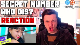 VIBRANT PERSONALITIES MV SECRET NUMBER시크릿넘버  Who Dis  REACTION [upl. by Zara]