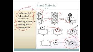 Protoplast Culture by Prof Sonali Saste [upl. by Eetsirk44]