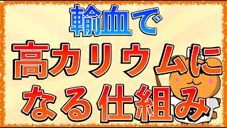 イラストで学ぶ医学！「輸血で高カリウムになるのはなぜ？」 [upl. by Ileane901]